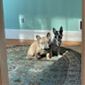 Meet your Posher, James